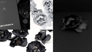 DARK POPPY & EQUILIBRIUM BUCH – Bild 3